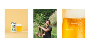 【素材の深淵】Platanus Brewing「しょうがナイト」を定義する、“1/13の純度”と職人・安田裕志のストイックな哲学
